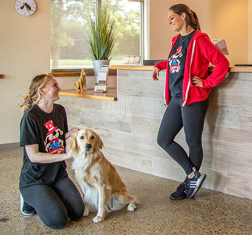 Two AAPR employees speak to one another while one pets a dog