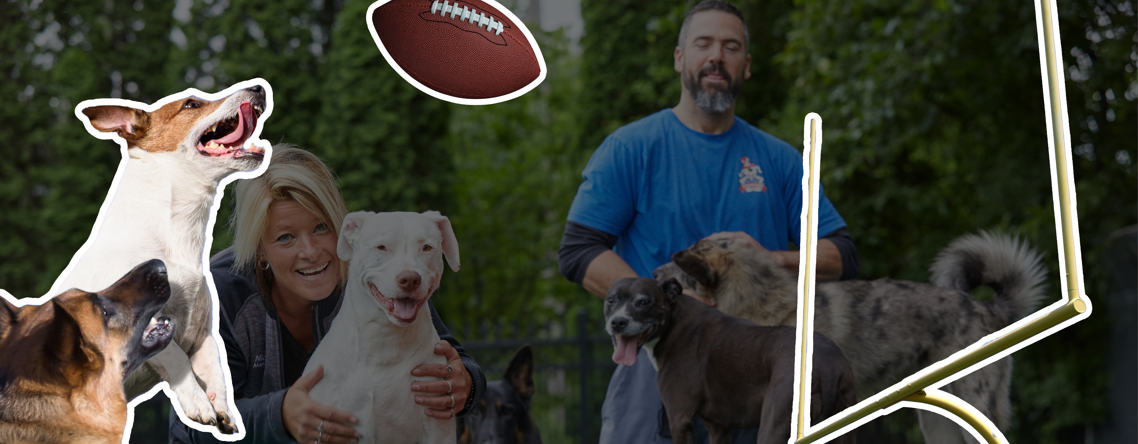 Dogs playing football