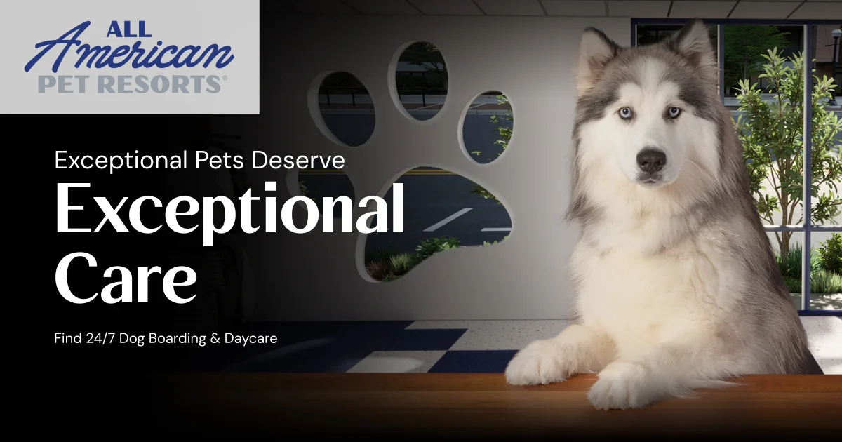 All American Pet Resorts logo