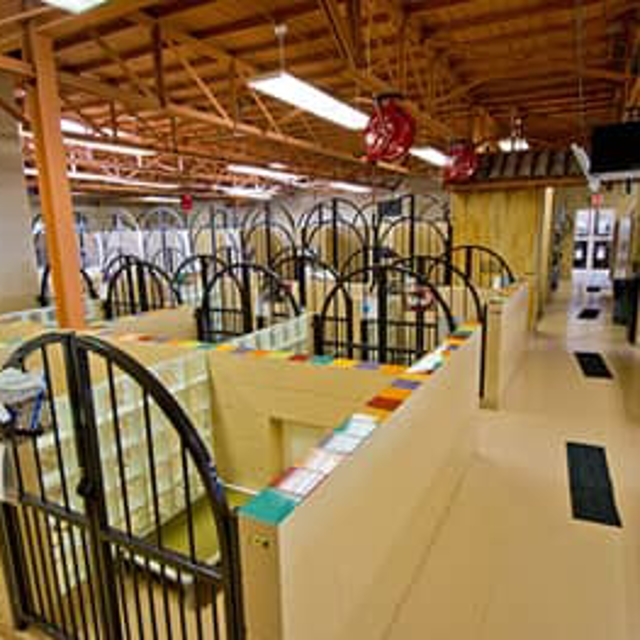 Photo Gallery All American Pet Resorts Dallas