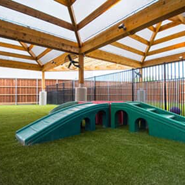 Photo Gallery All American Pet Resorts Dallas