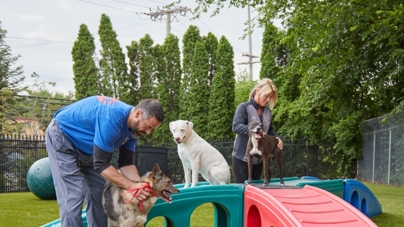 Two employees play with dogs outside
