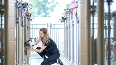 photo of woman with dog