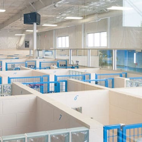 The indoor boarding kennels at All American Pet Resorts Canton