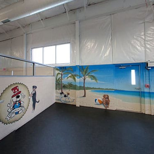The inside play area of All American Pet Resorts Canton