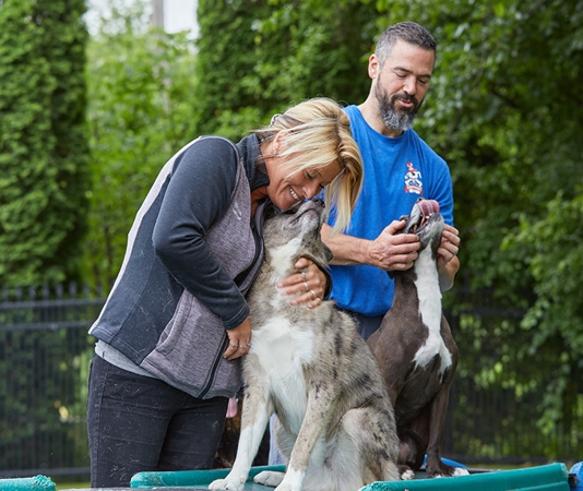 Two employees play with dogs outside