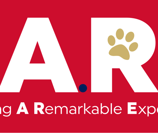 Creating a Remarkable Experience Logo Creating a Remarkable Experience Logo