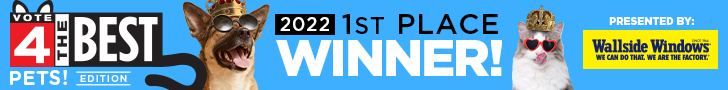 2022 1st Place Winner Wallside Windows award Vote 4 the Best Pets! Edition