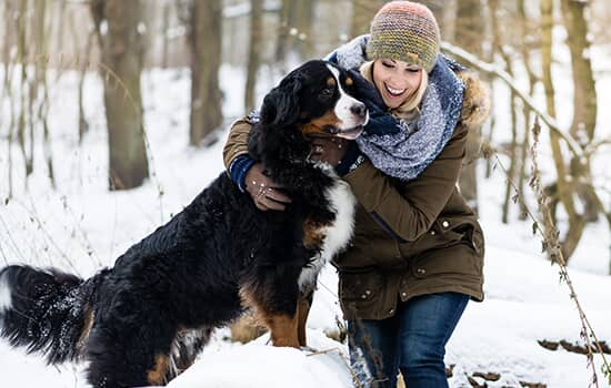 A woman and a large dog outside in the snow
