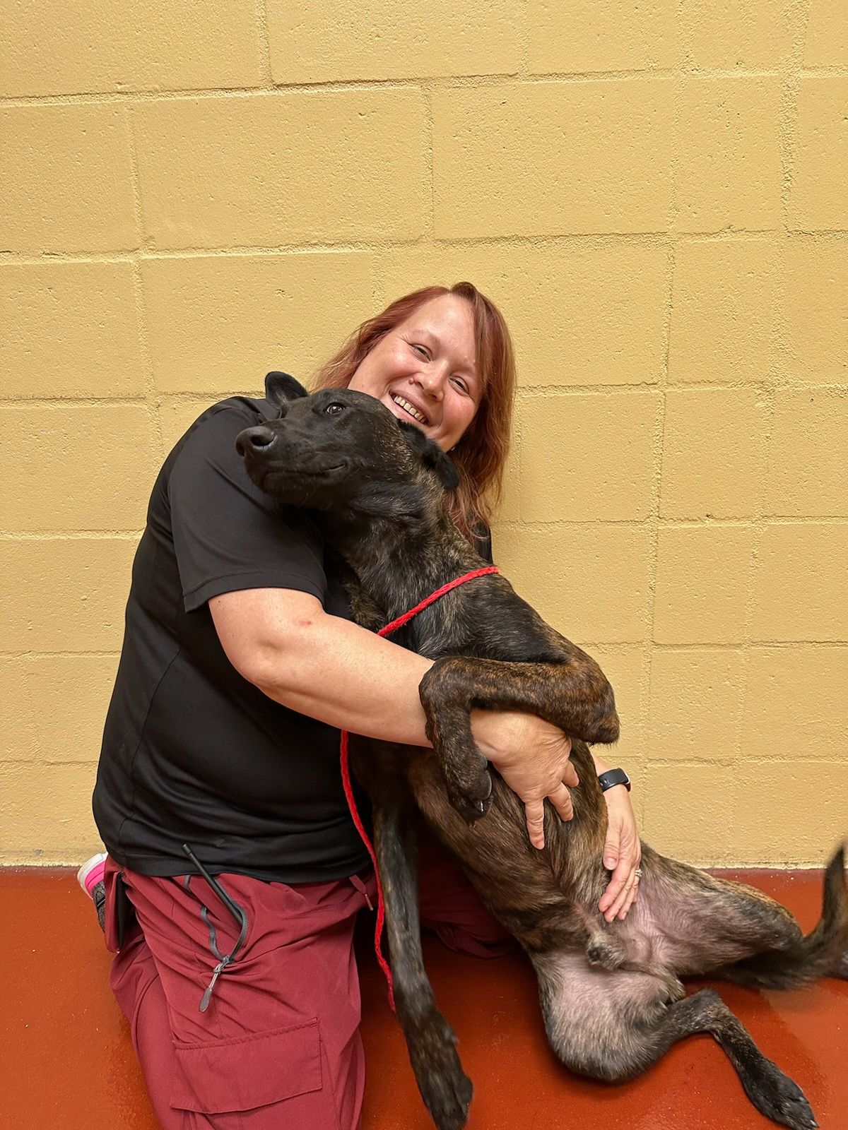 Headshot of Rebecca  Little